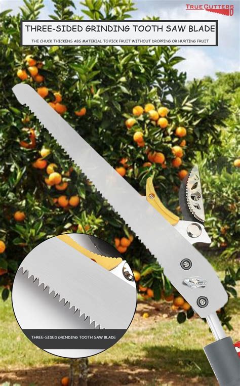 TrueCutters 4-11.5 Ft Extendable Tree Pruner & Pole Saw – India | Ubuy