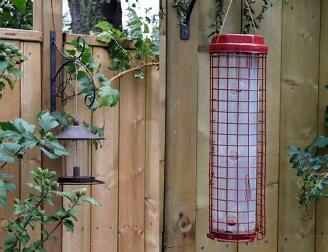 Create With Mom: Attracting birds to our garden with Squirrel Buster ...