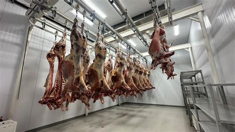 Как программа «Жұмыс жасаймын» помогла жанаозенцам устроиться на ...