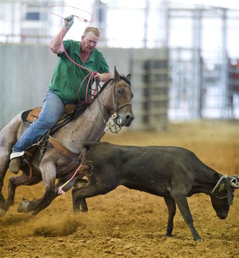 Roping Competition 的图像结果