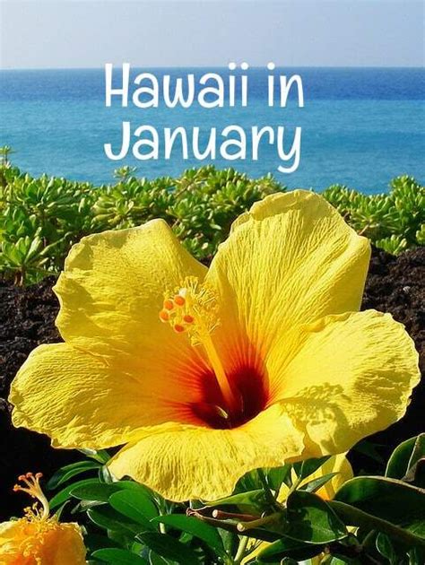 What to know about a January vacation in Hawaii - Go Visit Hawaii