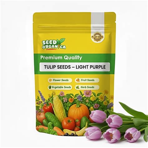 Tulip Seeds – Light Purple