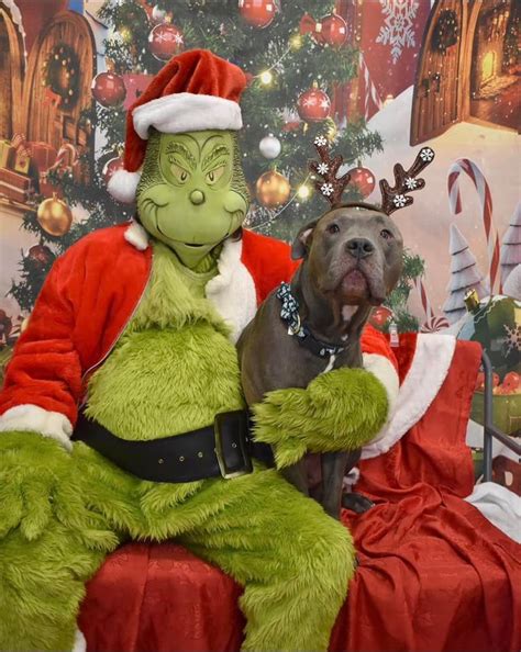 Photos with The Grinch, Ethereal Brewing, Lexington, 2 December 2023 ...
