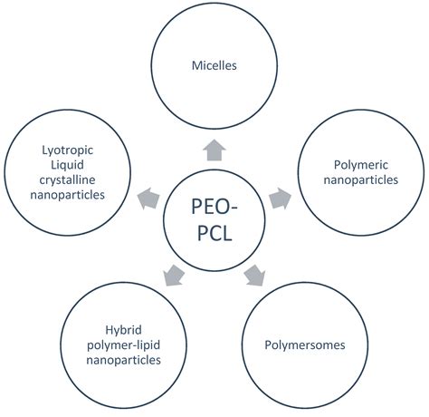 Recent Advances on PEO-PCL Block and Graft Copolymers as Nanocarriers ...