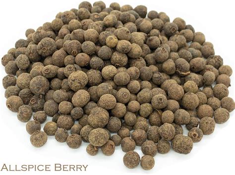 Allspice Berry and Green Tea Herbal Infusion (Jasmine - 25 Unbleached ...