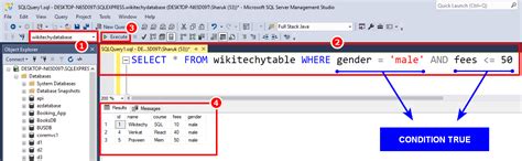Or in SQL 的图像结果