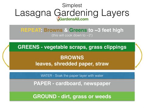 Lasagna Layered Garden Beds   No Dig, No Till Gardening  