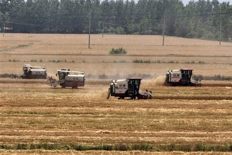 Agriculture China 的图像结果
