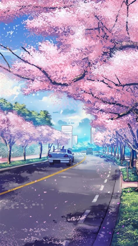Cherry Blossom Anime Wallpapers - Wallpaper Cave