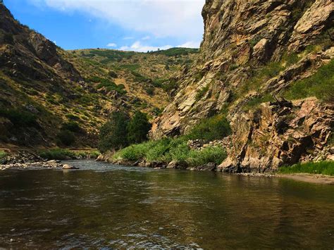 South Platte River Waterton Canyon | The Catch and The Hatch