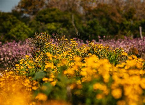 Entrepreneurship Stock Images 的图像结果