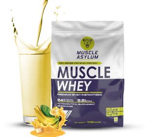 Muscle Asylum Muscle Whey 100% Whey Protein - 24g Protein, 5.29g BCAA ...