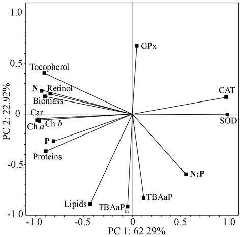 Biochemical and Antioxidant Characteristics of Chlorococcum oleofaciens ...