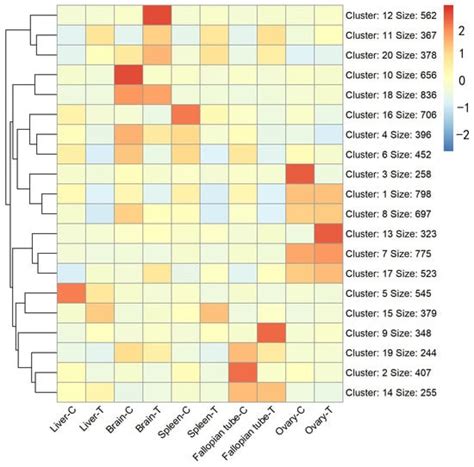 Transcriptome Analysis Reveals Cross-Tissue Metabolic Pathway Changes ...