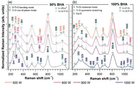 Modulated Laser Cladding of Implant-Type Coatings by Bovine-Bone ...