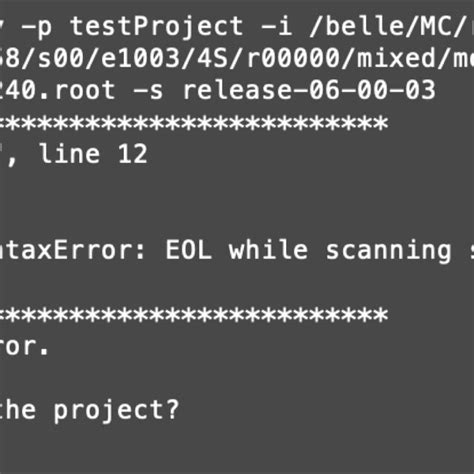 Syntax Checker Model 的图像结果