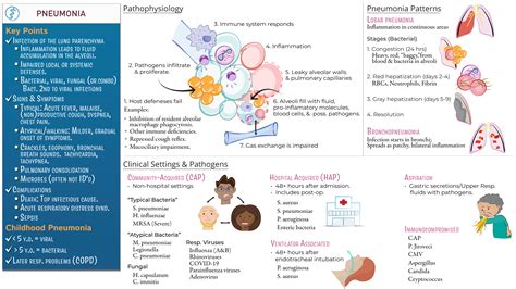 Clinical Pathology: Pneumonia | ditki medical & biological sciences