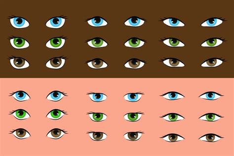 Different Types Of Eyes