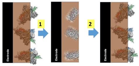 Electrochemically Deposited Molecularly Imprinted Polymer-Based Sensors