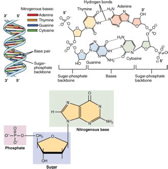 Image result for DNA Microarray Kit