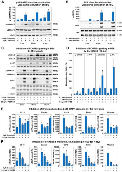 Cells | Special Issue : Cellular and Molecular Mechanisms underlying ...