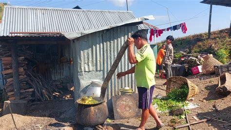 Country People 的图像结果