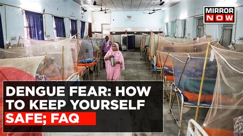 Dengue Fear: Cases Vaulted Past The 4,000-Mark In Kolkata; Govt Cancels ...