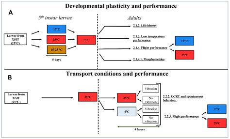 Consequences of Thermal Variation during Development and Transport on ...
