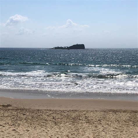 HARRY STUART MEMORIAL GARDENS (2026) All You Need to Know BEFORE You Go ...