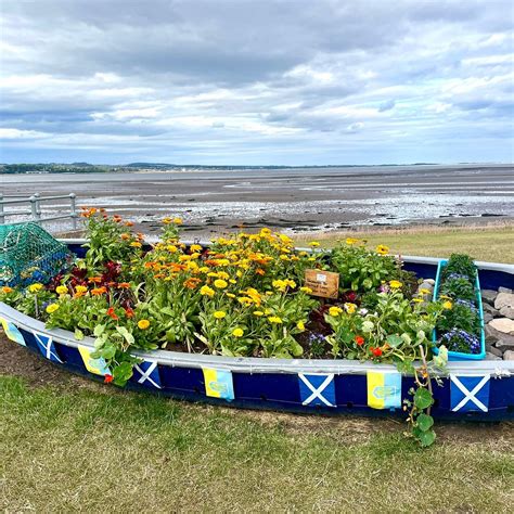 Tayport Common - All You Need to Know BEFORE You Go