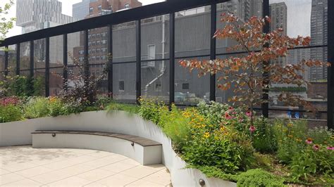 Hospital Rooftop Gardens Gardens In The Hospital. (A) The