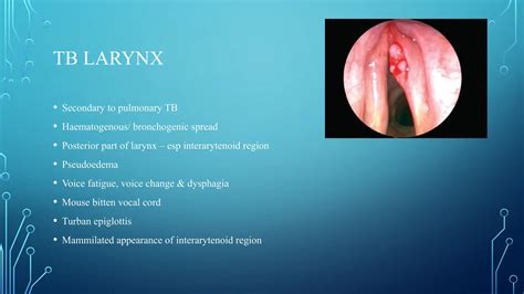 LARYNGITIS and chronic inflammation ppt | PPTX