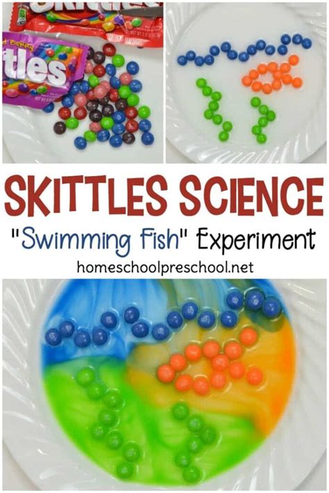 Candy Science Experiments 的图像结果