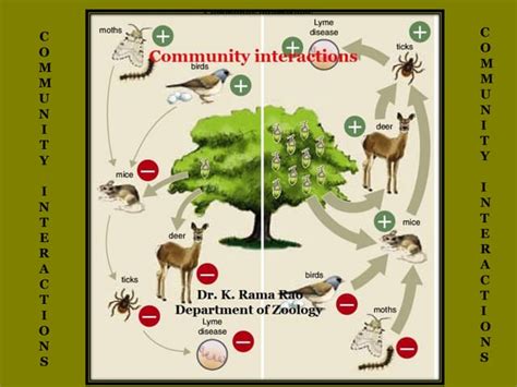 Society 的图像结果