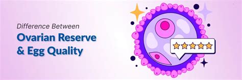 Know the Difference between ovarian reserve & egg quality