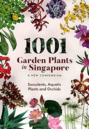Buy 1001 Garden Plants In Singapore Succulents,aquatic Plants and ...