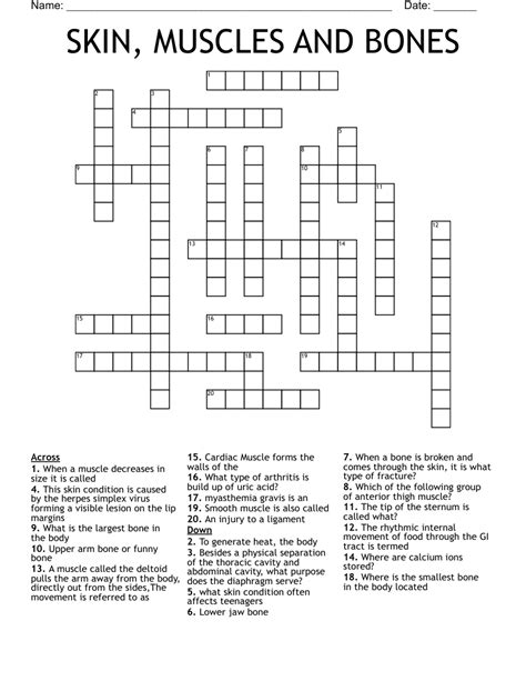 Arm Day Muscle Crossword at Imelda Metzger blog