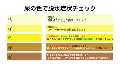 Image result for Jet Matplotlib Color Palette