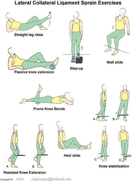 Knee Exercise 的图像结果