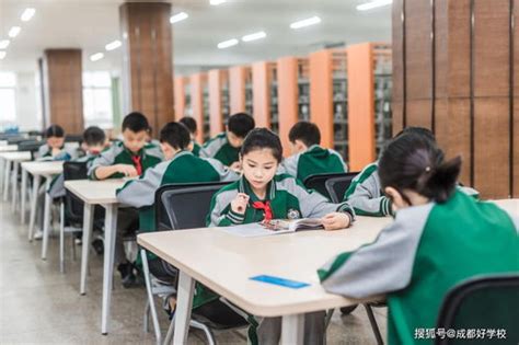 上海西华外籍人员子女学校 Western International School of Shanghai (WISS)｜菁kids上海择校 ...