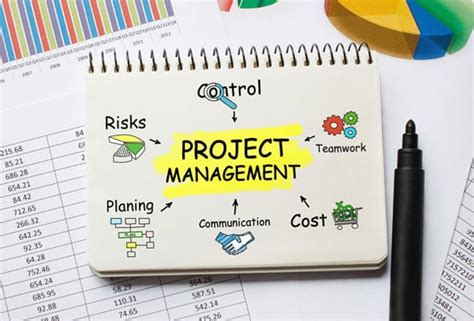 Image result for Project Management for Dummies
