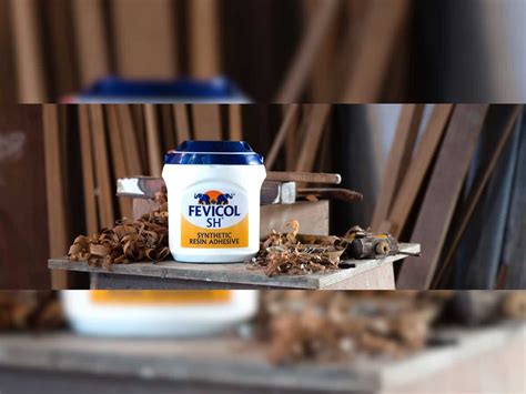 Pidilite (PIDILITIND) Q1 FY25 Results Preview: Fevicol adhesive maker ...