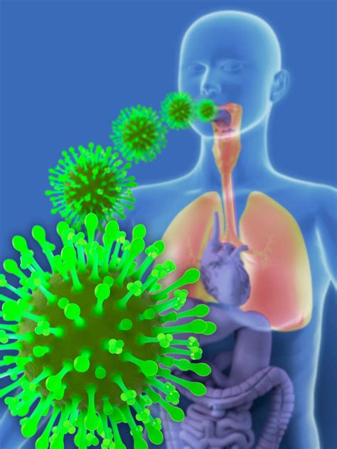 How Is The Flu Spread