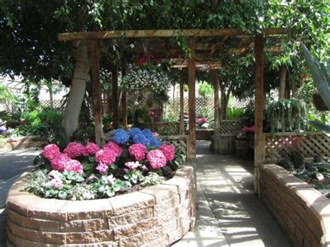 Regina Floral Conservatory, regina, Canada - Top Attractions, Things to ...