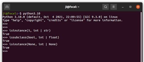 Install Python 3.10 的图像结果