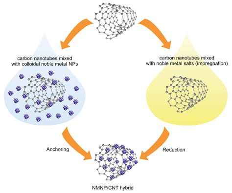 Carbon-Supported Noble-Metal Nanoparticles for Catalytic Applications—A ...