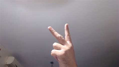 Image result for Hand Gestures Dataset Python