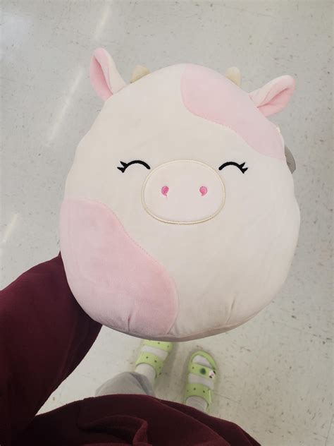 SCREAMING CRYING AND THROWING UP : r/squishmallow
