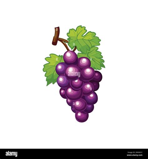 Red grape bunch hanging hi-res stock photography and images - Alamy