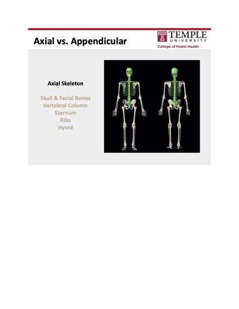 Final Exam Review: Axial vs. Appendicular Skeleton - XYZ 101 - Studocu